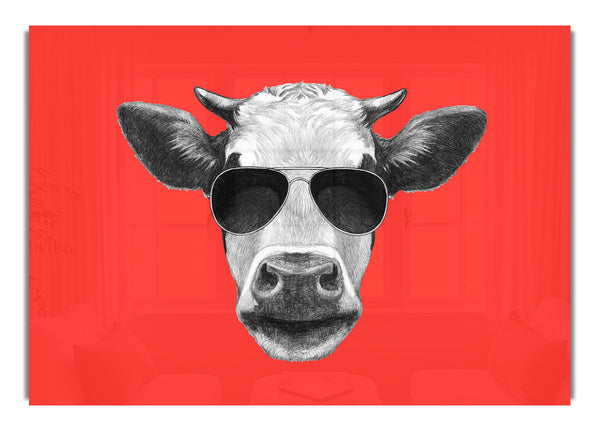 Mafia Cow