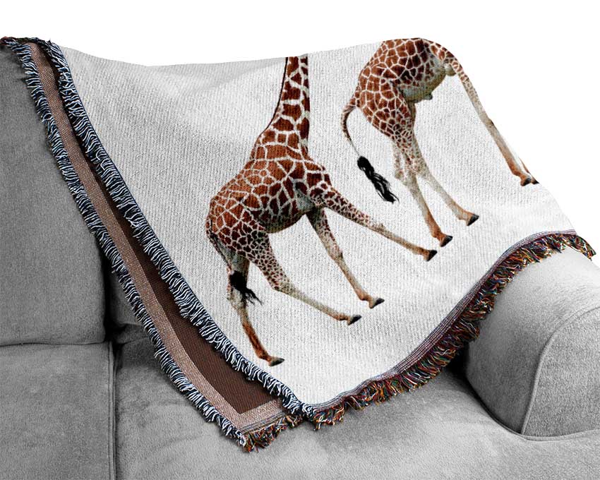 Giraffe Lineup Woven Blanket