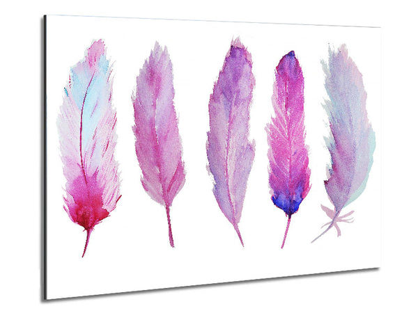 Pink Indian Feathers 1