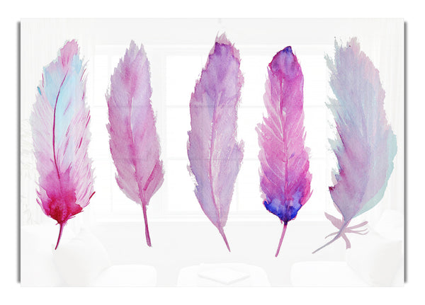 Pink Indian Feathers 1