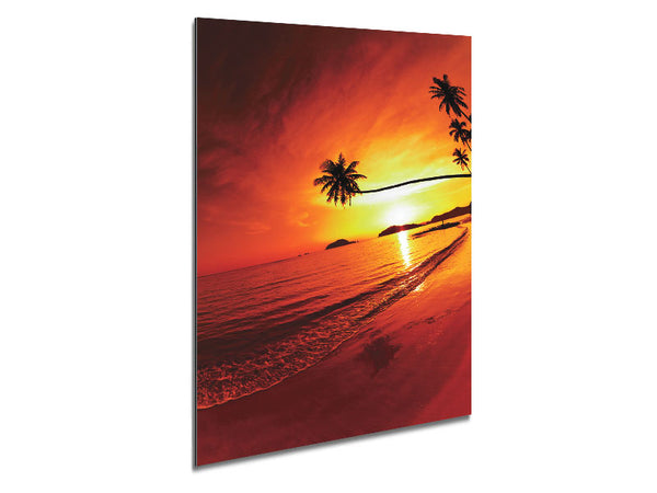 Ocean Sunset Palm