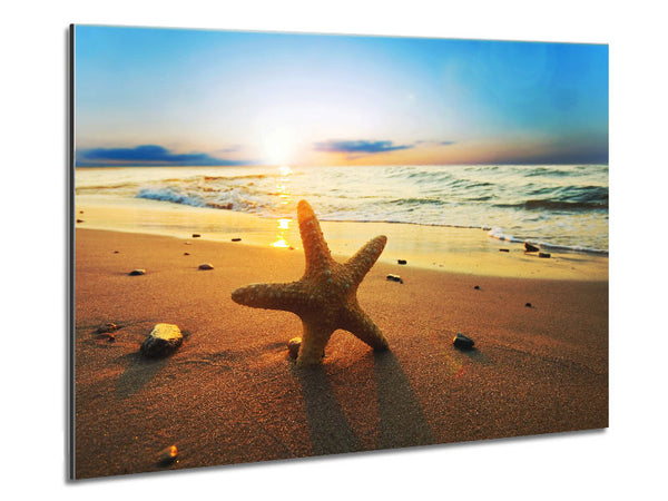 Starfish Sun Glow