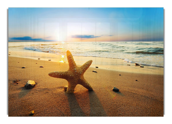 Starfish Sun Glow