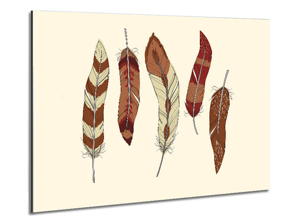 Red Indian Feathers