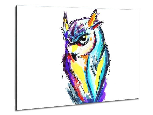 Rainbow Owl