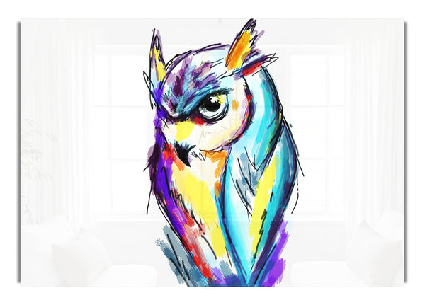 Rainbow Owl