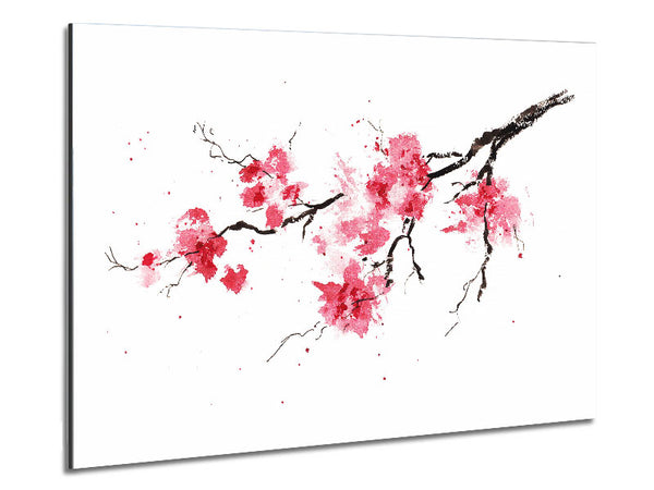 Chinese Cherry Blossom branch