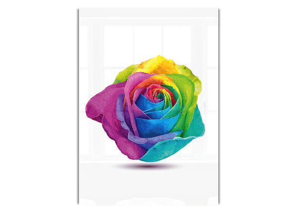 Regenbogenrose