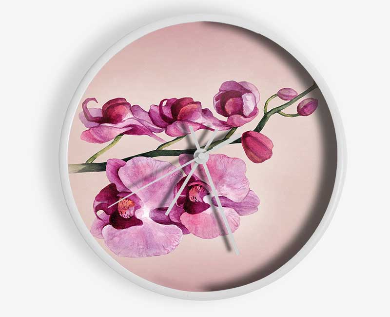 Pink Orchid Clock - Wallart-Direct UK