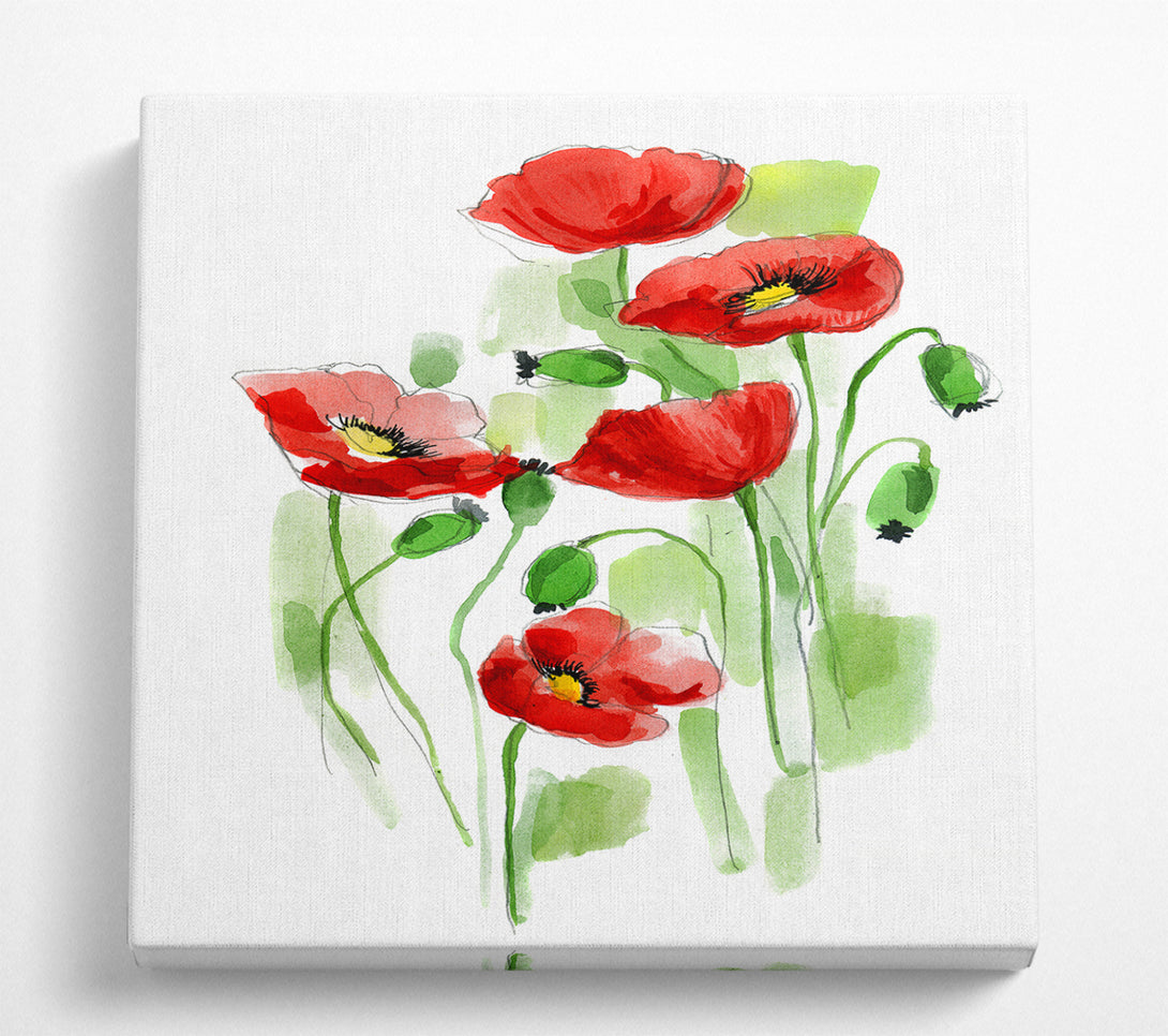 A Square Canvas Print Showing Poppies In Bloom Square Wall Art