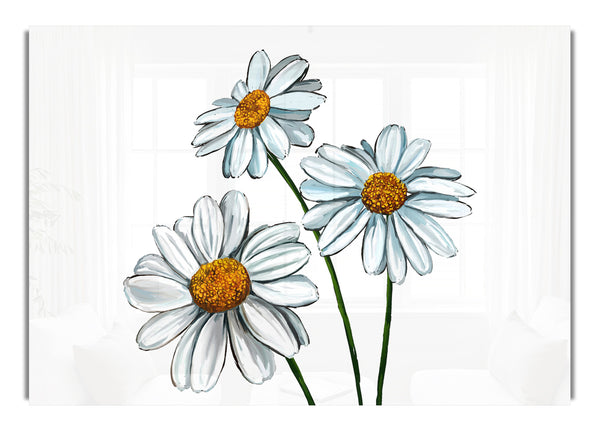 White Daisy Trio