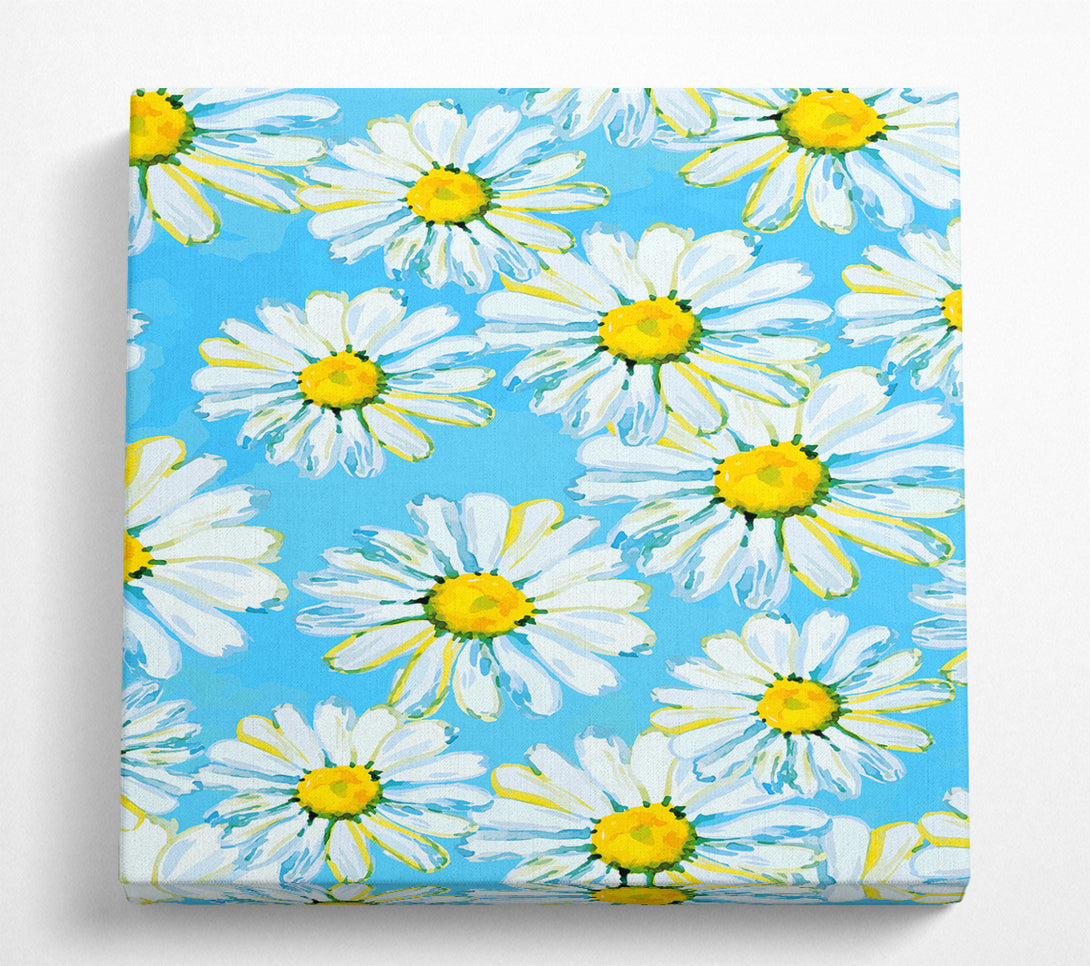 A Square Canvas Print Showing Daisy Blues Square Wall Art