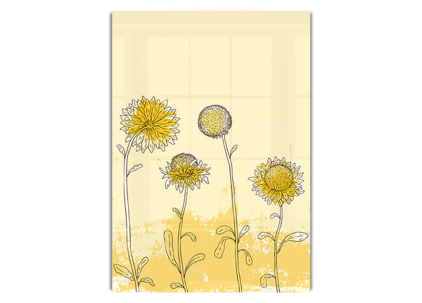 Sunflower Meadow