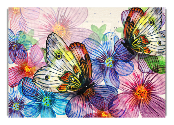 Butterfly Petal Madness