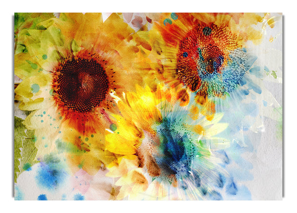 Sunflower Abstract