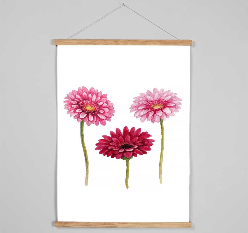 Pink Aster Hanging Poster - Wallart-Direct UK