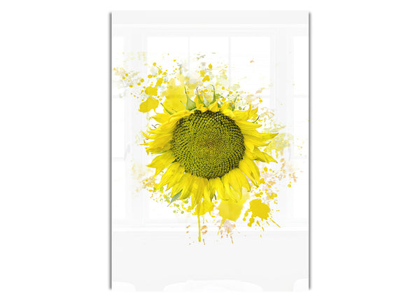 Sunflower Splash 2