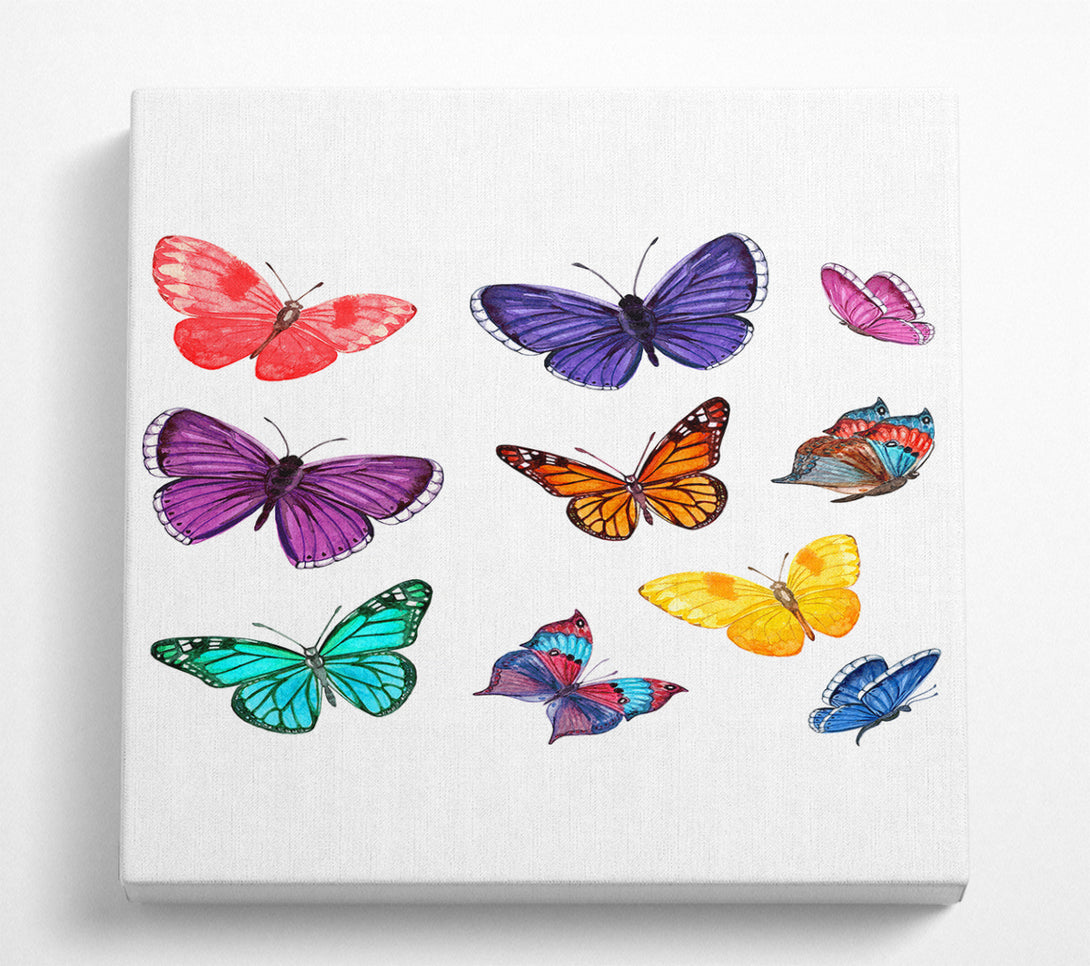 A Square Canvas Print Showing Rainbow Butterflies Square Wall Art