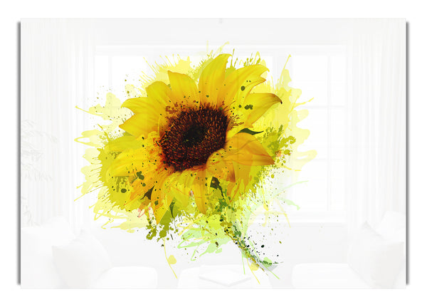 Sunflower Splash 1