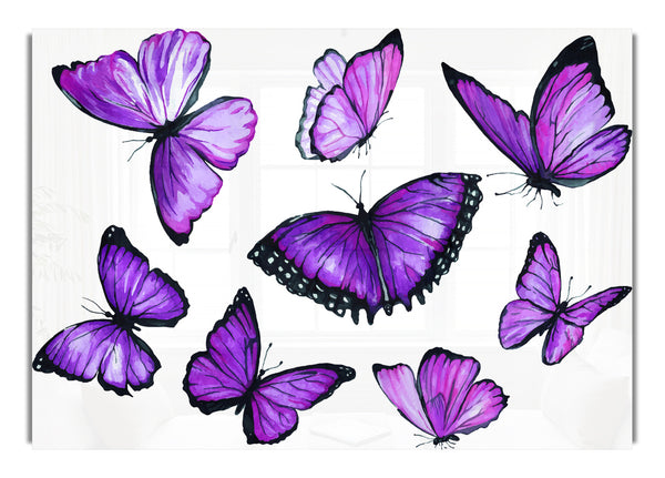 Purple Butterfly Frenzy