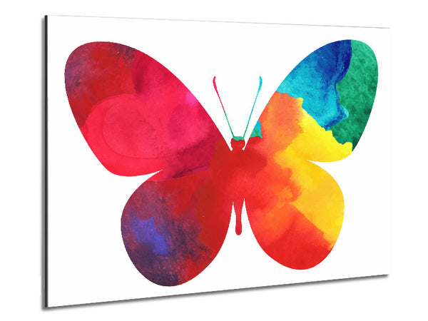 Rainbow Butterfly