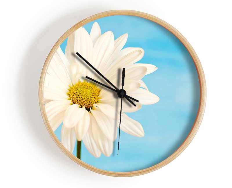 Daisy Skies Clock - Wallart-Direct UK