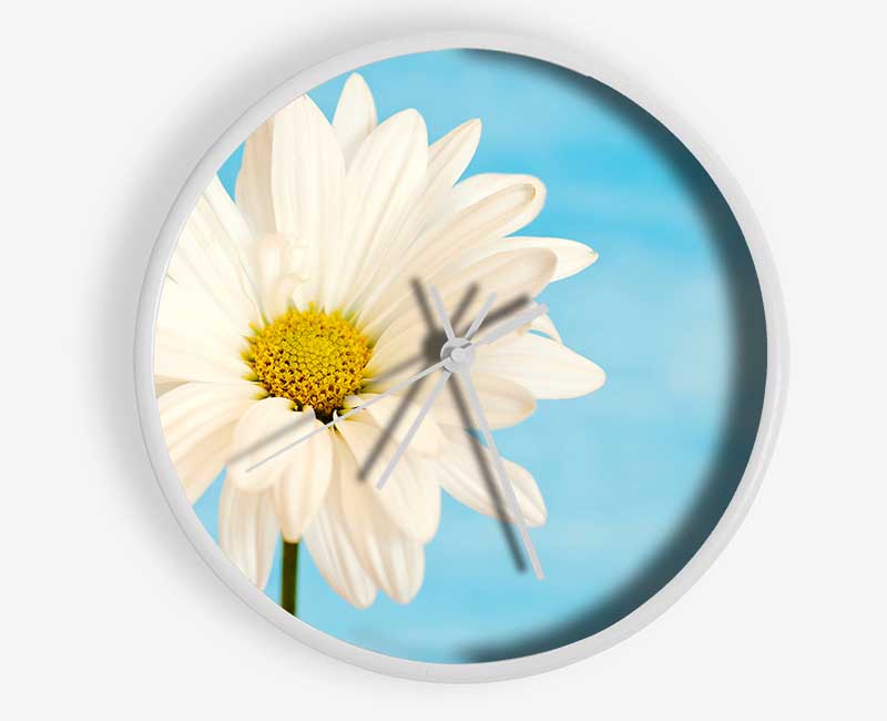 Daisy Skies Clock - Wallart-Direct UK