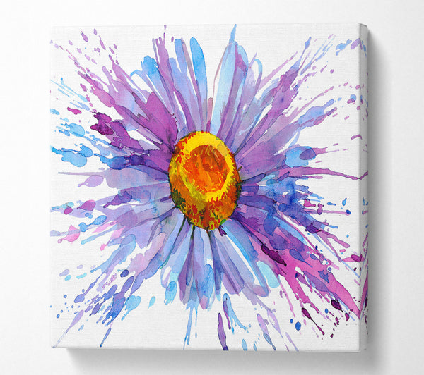 A Square Canvas Print Showing Daisy Splash Square Wall Art