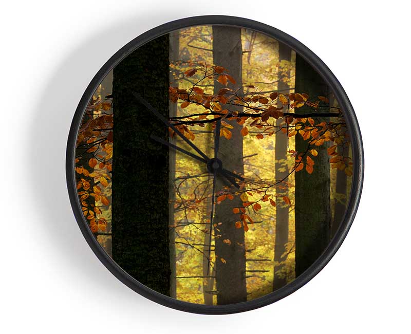 Golden Light Through The Trees Clock - Wallart-Direct UK