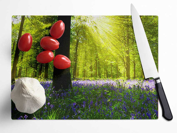 Bluebell Sun Blaze Glass Chopping Board