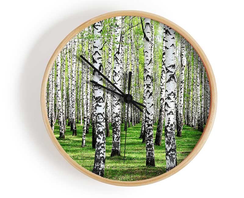 Silver Birch Beauty Clock - Wallart-Direct UK