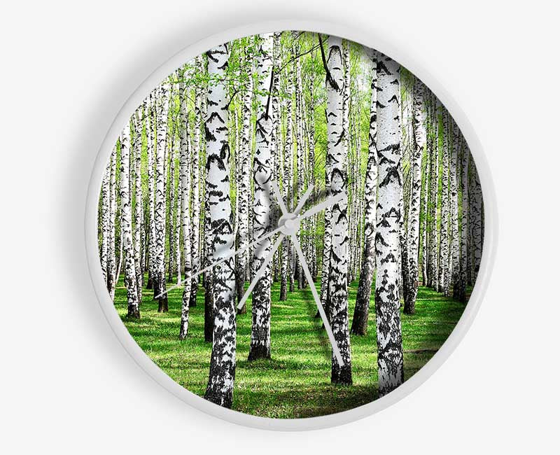 Silver Birch Beauty Clock - Wallart-Direct UK