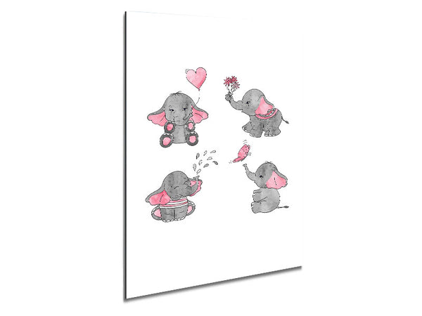 Elephant Fun