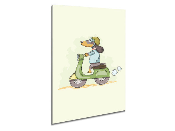 Scooter Dog