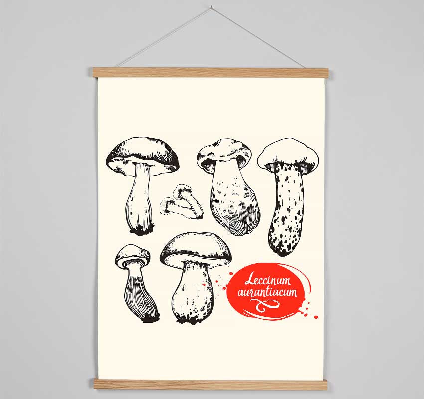 Mushrooms Hanging Poster - Wallart-Direct UK