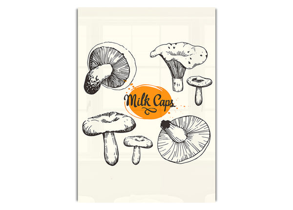 Milk Cap Mushrooms