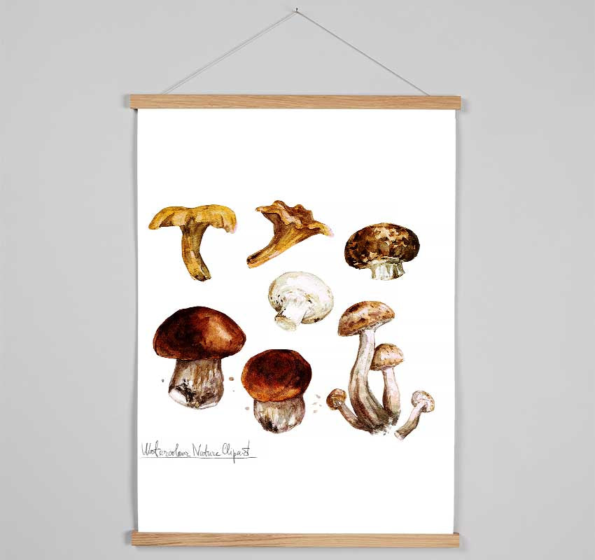 Different Types Of Mushrooms Hanging Poster - Wallart-Direct UK