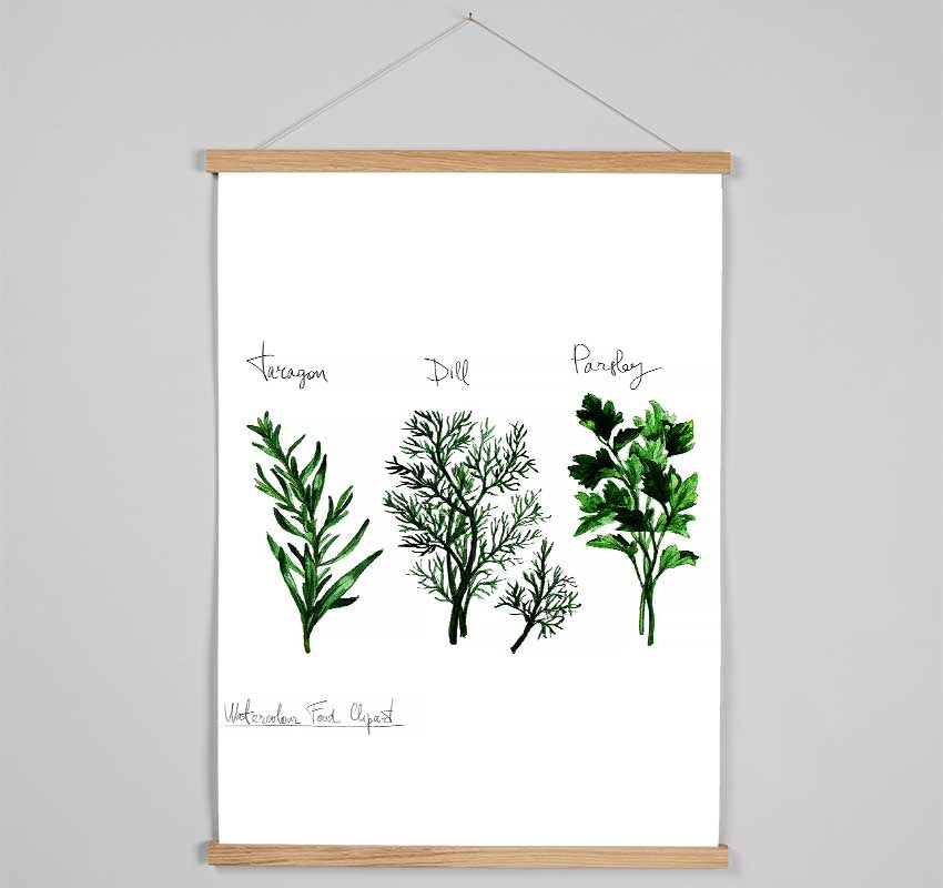 Herb Selection 1 Hanging Poster - Wallart-Direct UK