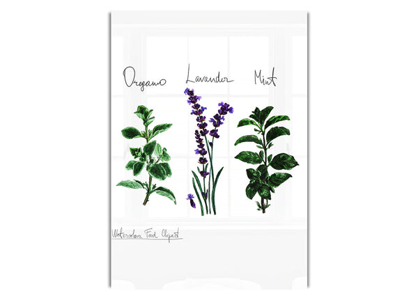 Herb Selection 2