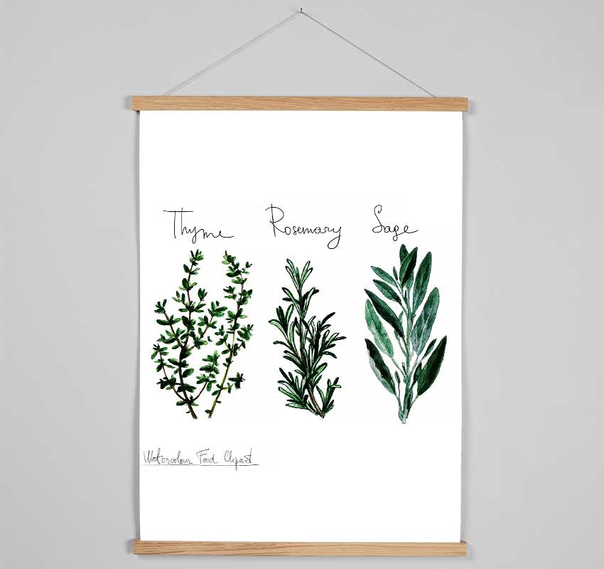 Herb Selection 3 Hanging Poster - Wallart-Direct UK