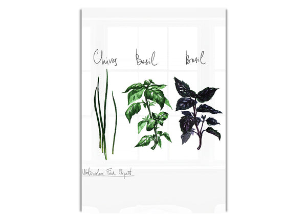 Herb Selection 4