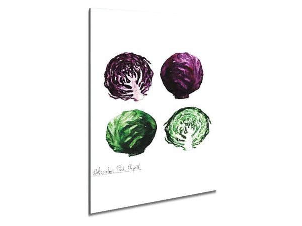 Red And Green Cabbage