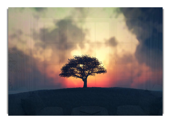 Sunset Tree