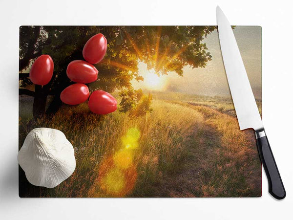 Sun Burst Tree Glass Chopping Board