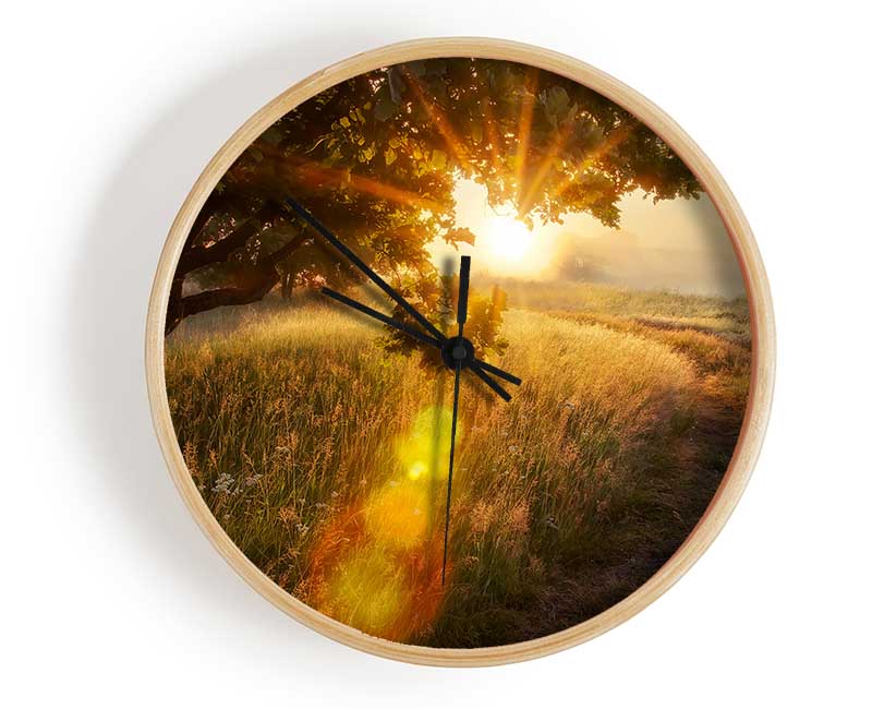 Sun Burst Tree Clock - Wallart-Direct UK