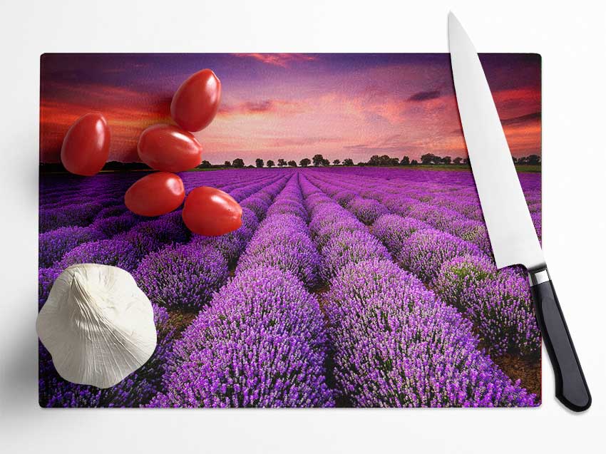 Lavender Fields Glass Chopping Board