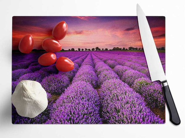 Lavender Fields Glass Chopping Board