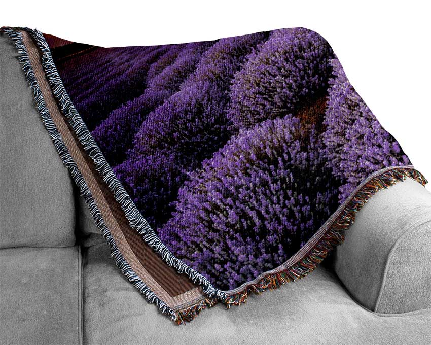 Lavender Fields Woven Blanket