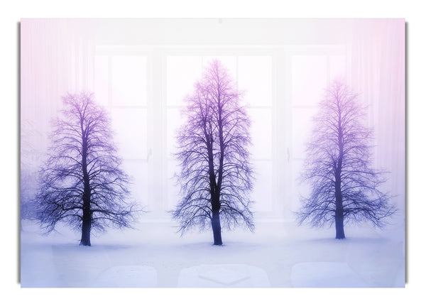 Purple Winter Trees