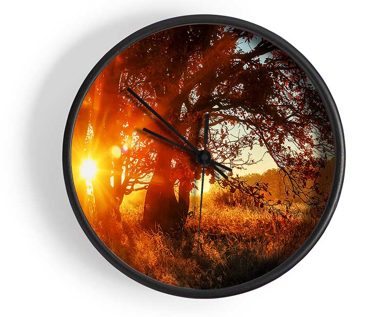 Red Sun Burst Tree Clock - Wallart-Direct UK